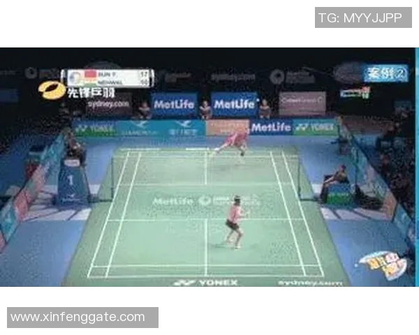 羽毛球战术解析：深入探讨成都羽毛球队的快攻策略与训练秘诀